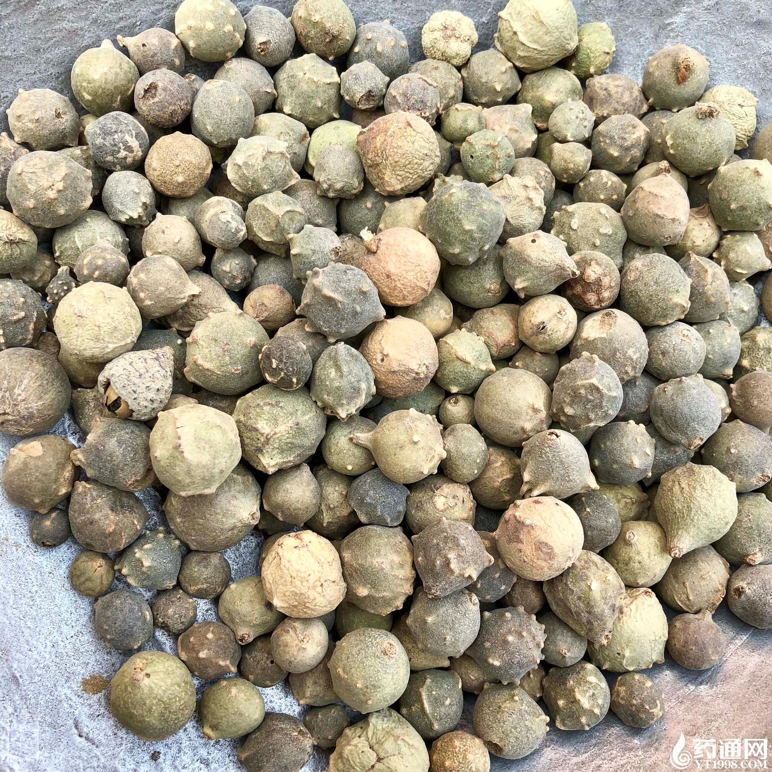 亳州市辉睿中药科技