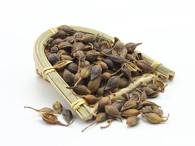 这些药材品种涨价啦