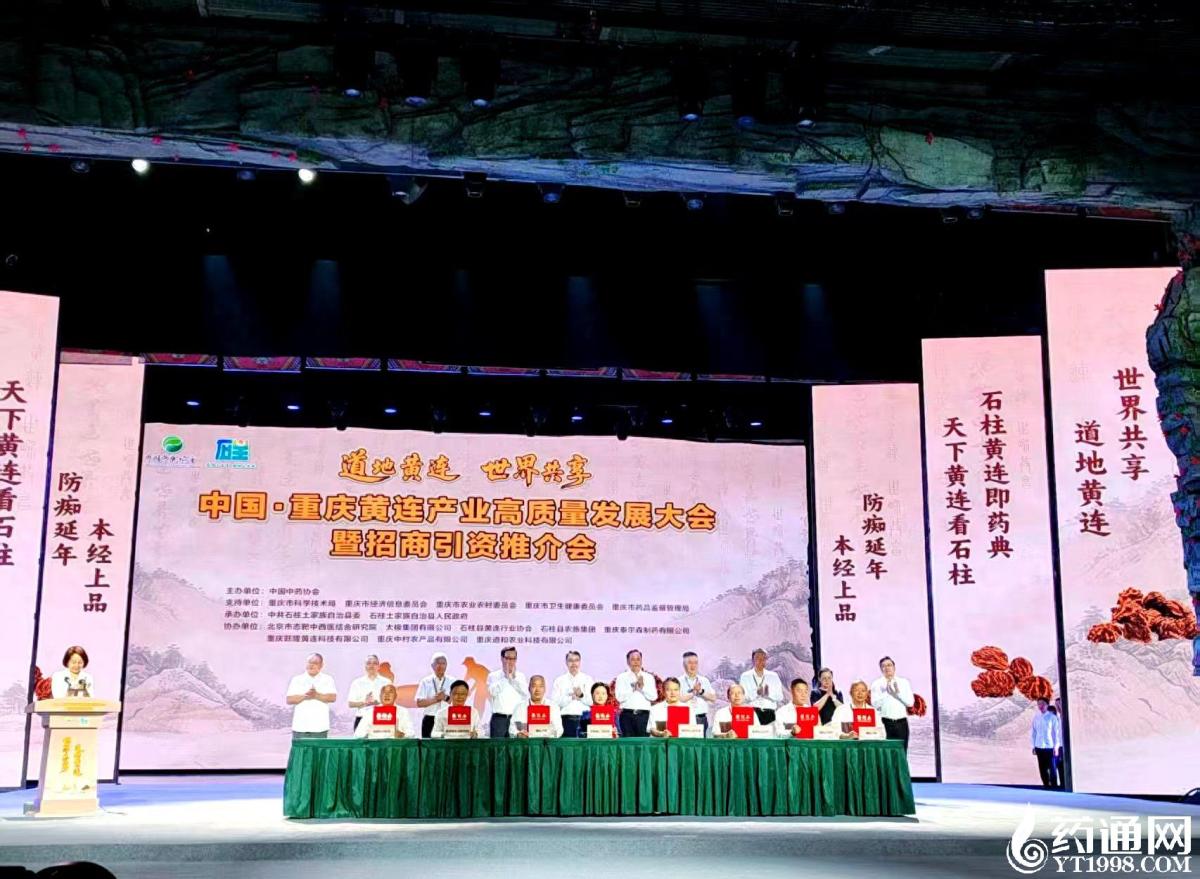 五年之约：黄连产业如何走在这场中药质量变革的最前沿