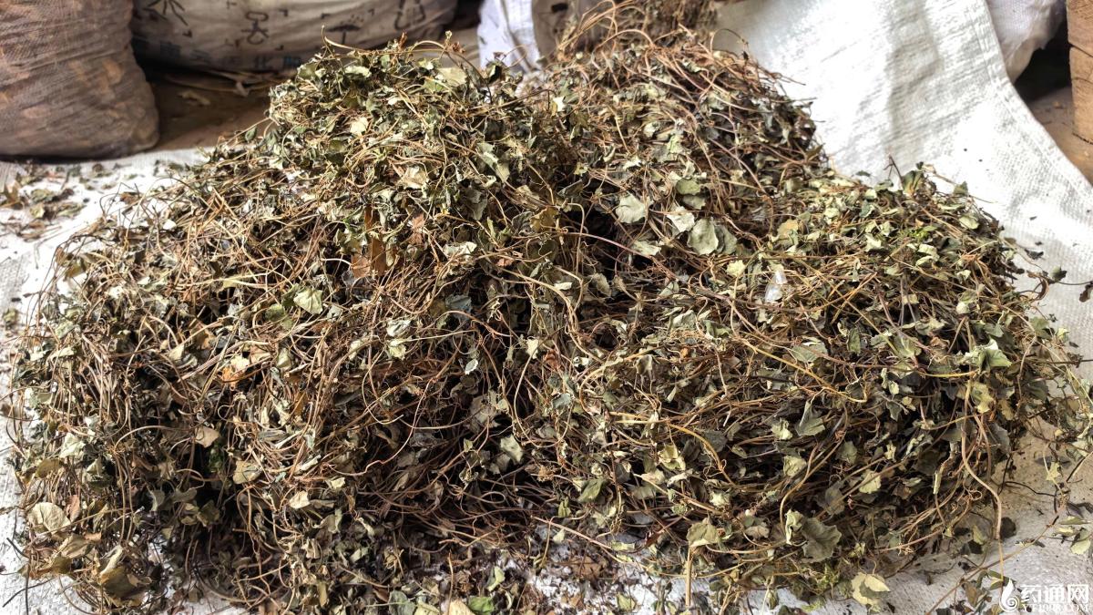 涨涨落落的广金钱草